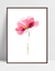 Quadro Flor Aquarela na internet