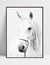 Quadro White Horse na internet