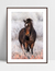 Quadro Cavalo nas Montanhas na internet