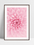 Quadro Sonho de Flor - Cris Rosa na internet