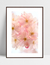 Quadro Cherrie Pink na internet