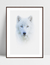 Quadro Lobo Branco na internet