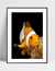 Quadro Nemo na internet