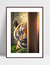Quadro Tigre Indiscreto na internet