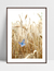 Quadro Campo de Trigo na internet