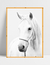 Quadro White Horse - Ella Quadros