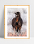 Quadro Cavalo nas Montanhas - Ella Quadros