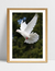 Quadro Dove - Pomba - Ella Quadros