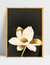 Quadro Gold Chic II - Ella Quadros