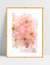 Quadro Cherrie Pink - Ella Quadros