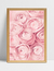 Quadro Suavidade - Peônias Rosas - Ella Quadros