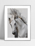 Quadro White Horse II - loja online