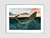 Quadro Baleia - Green - loja online