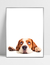 Quadro Pastor Beagle - loja online