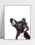 Quadro Bulldog - loja online