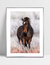 Quadro Cavalo nas Montanhas - loja online