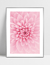 Quadro Sonho de Flor - Cris Rosa - loja online