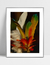 Quadro Adorno Índio Amazônia - loja online