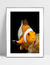 Quadro Nemo - loja online