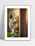 Quadro Tigre Indiscreto - loja online