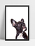 Quadro Bulldog - comprar online