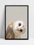 Quadro Corujinha Curiosa - comprar online