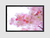 Quadro Luz de Rosas - comprar online