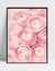 Imagem do Quadro Suavidade - Peônias Rosas
