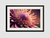 Quadro Pink Flower - comprar online