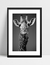 Quadro Girafa - Cachecol - comprar online