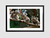 Quadro Koalas - comprar online