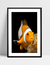Quadro Nemo - comprar online