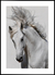 Quadro White Horse II