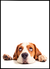 Quadro Pastor Beagle