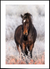 Quadro Cavalo nas Montanhas
