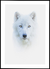 Quadro Lobo Branco