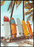 Quadro Pranchas de Surf