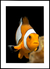Quadro Nemo