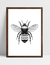 Quadro Abelha - loja online