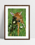 Quadro Bambi - loja online