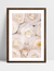 Quadro Delicate - Camélia Branca - loja online