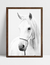 Quadro White Horse - loja online