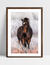 Quadro Cavalo nas Montanhas - loja online