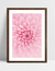 Quadro Sonho de Flor - Cris Rosa - loja online