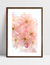 Quadro Cherrie Pink - loja online