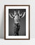 Quadro Girafa - Cachecol - loja online