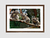 Quadro Koalas - loja online