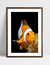 Quadro Nemo - loja online