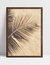 Quadro Sombra - Folha de Coqueiro - loja online