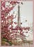 Composição Primavera - Paris - comprar online